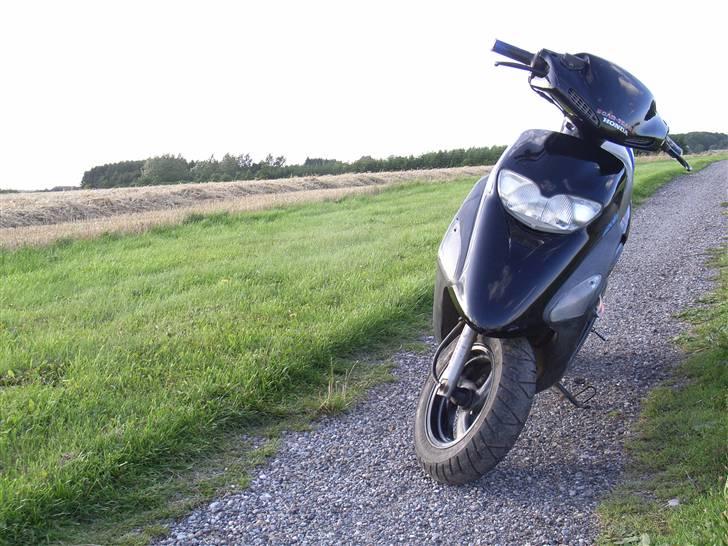 Honda sfx Solgt - scooter + nyhøstet mark  billede 1