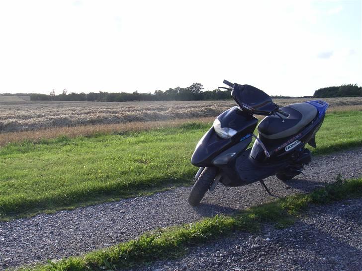 Honda sfx Solgt - scooter + nyhøstet mark  billede 2