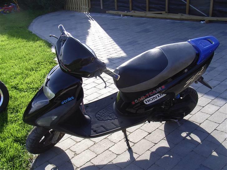 Honda sfx Solgt billede 7