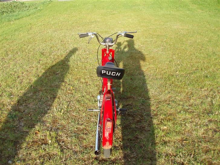 Puch maxi E50 Solgt billede 3