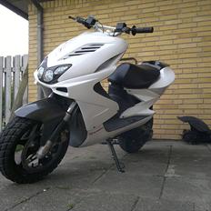 Yamaha Aerox <traded to SMX>