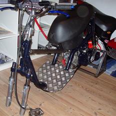 Aprilia Sonic TS rippet