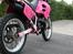 Suzuki RMX "cassiopeia" SOLGT