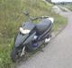 Honda Sfx <3 (SOLGT KRILLE'MISS