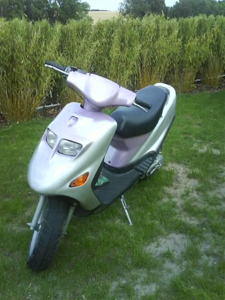 Kreidler Easy Rider(PROJEKT) billede 9