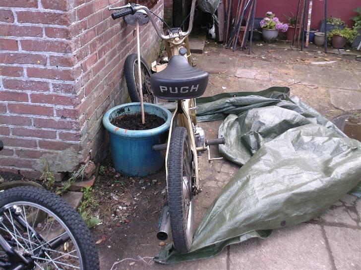 Puch maxi k (solgt) billede 1