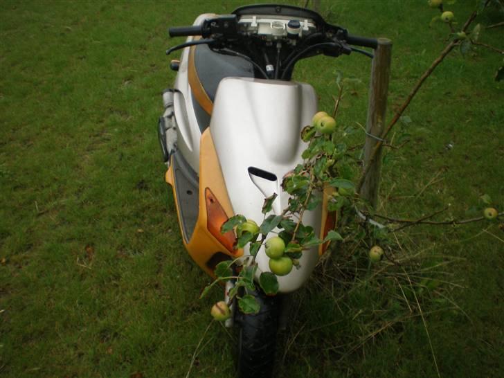 Honda sfx 45er solgt billede 4