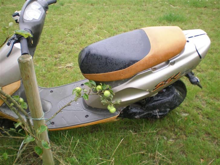 Honda sfx 45er solgt billede 5