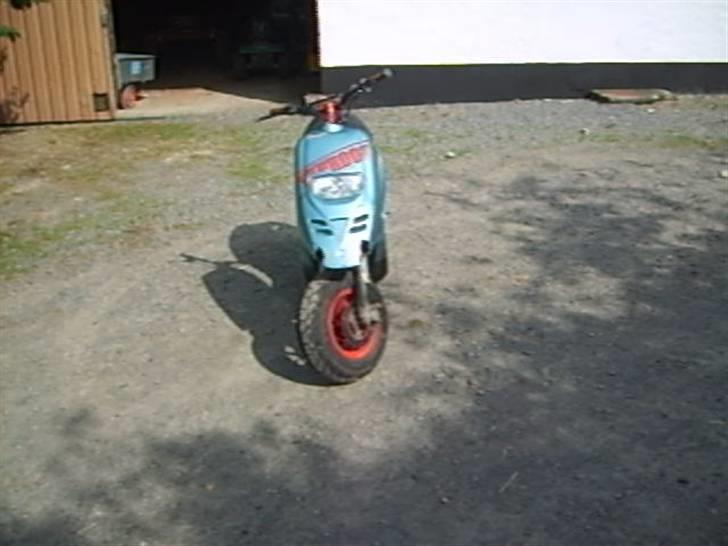 Piaggio typhoon billede 15