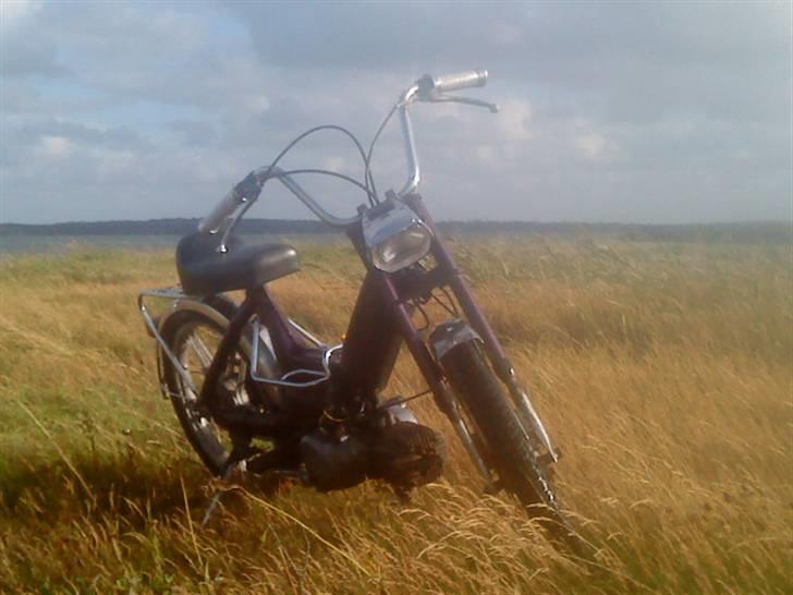 Puch Maxi K billede 9