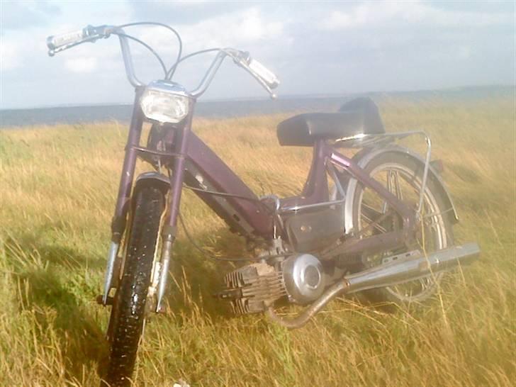 Puch Maxi K billede 10