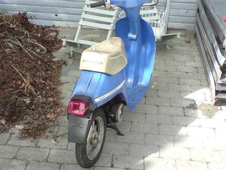 Honda melody (BYTTET) billede 2