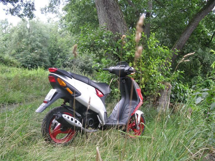 Piaggio nrg mc3 sport solgt billede 6