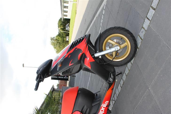 Aprilia sonic AC GP Replica billede 16