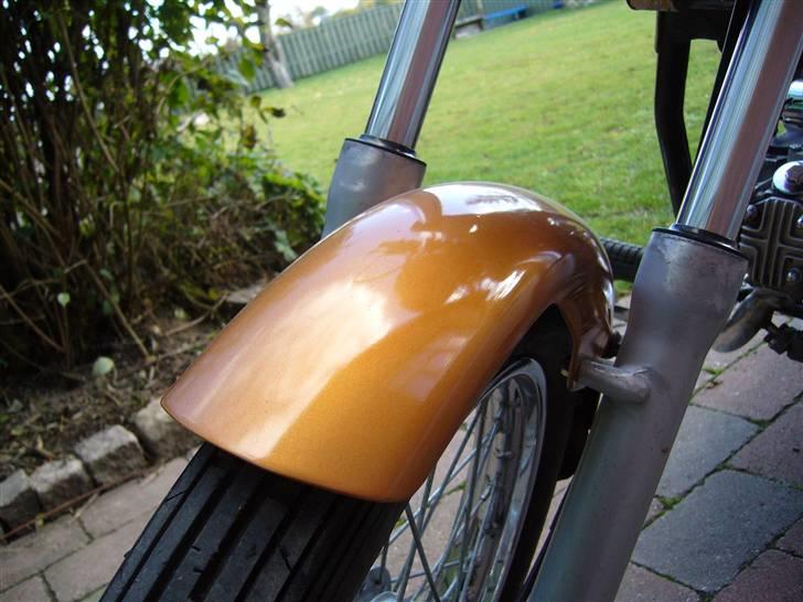 Regal Raptor - byttet billede 7