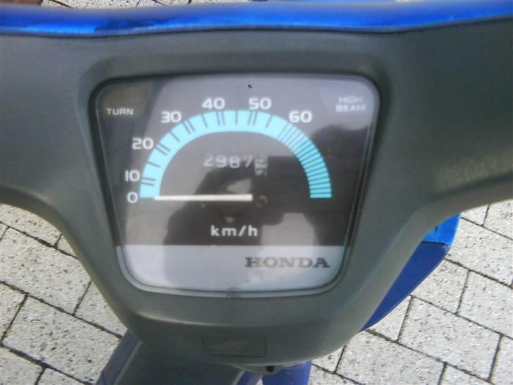 Honda Wallaroo *SOLGT* billede 9