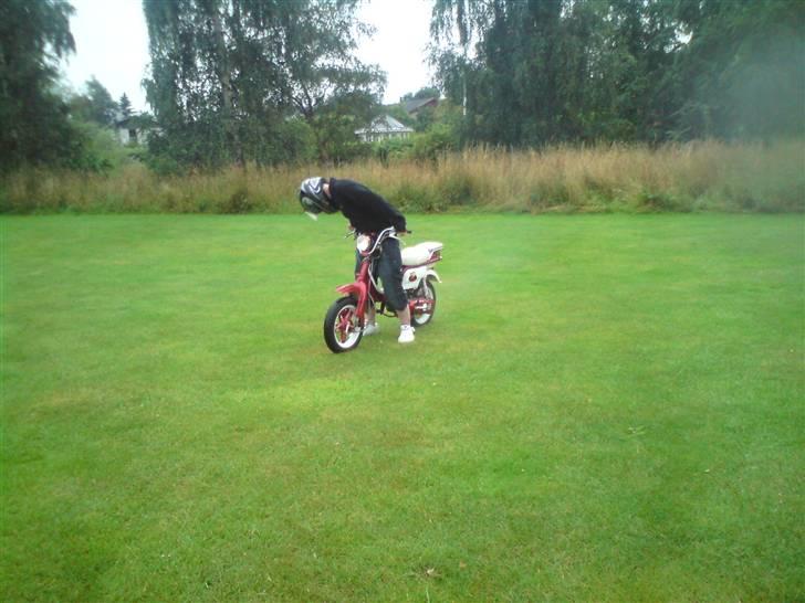 Suzuki fz 50 billede 18