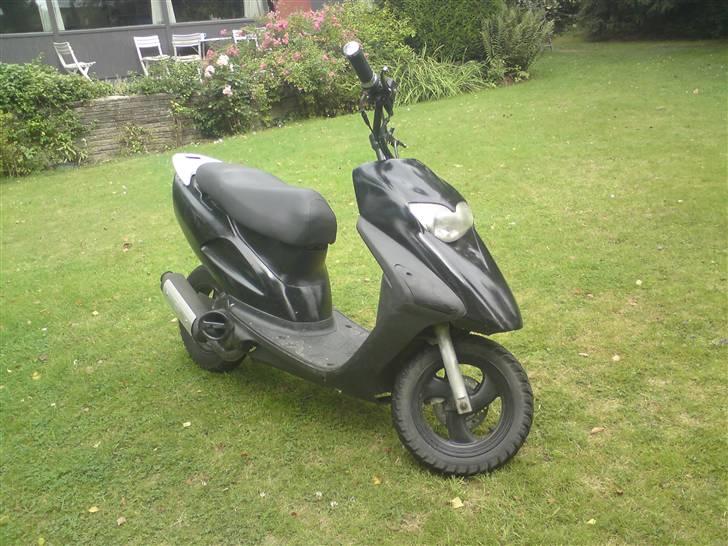 Honda Sfx <3 (SOLGT KRILLE'MISS billede 2