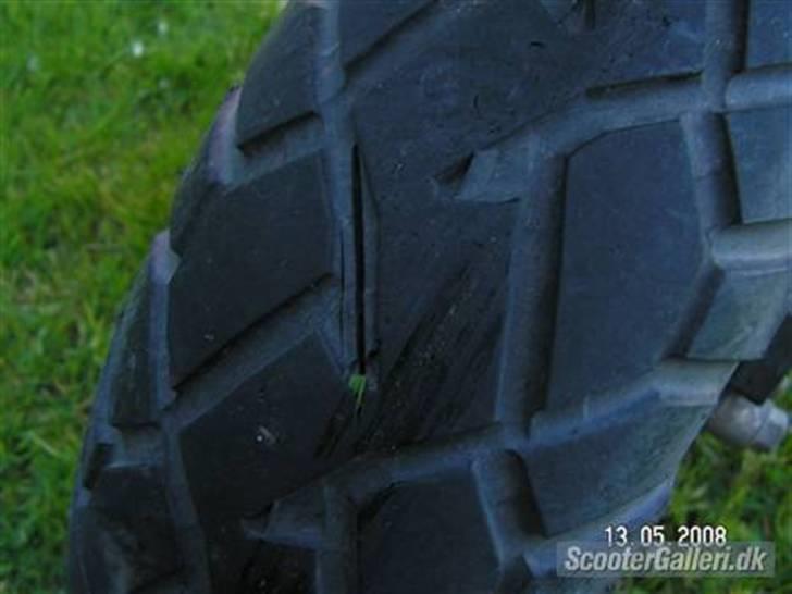 Piaggio Typhoon // FØR - FØR billede 7