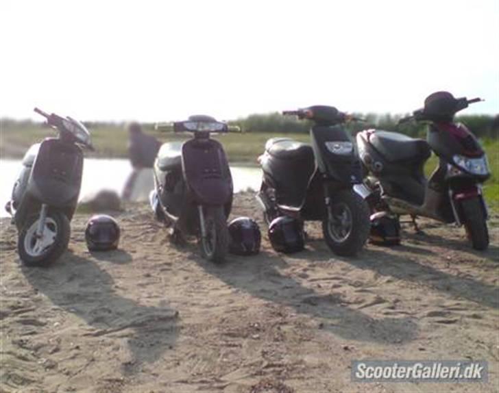 Piaggio Typhoon // FØR - FØR billede 8