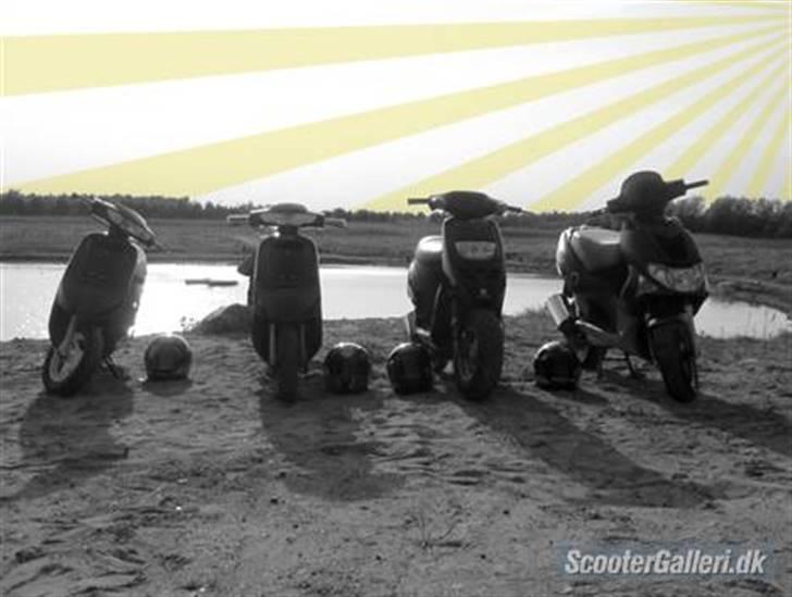 Piaggio Typhoon // FØR - FØR billede 10