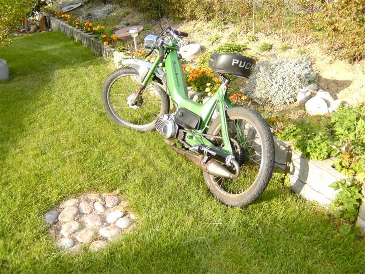 Puch maxi (Byttet) billede 4