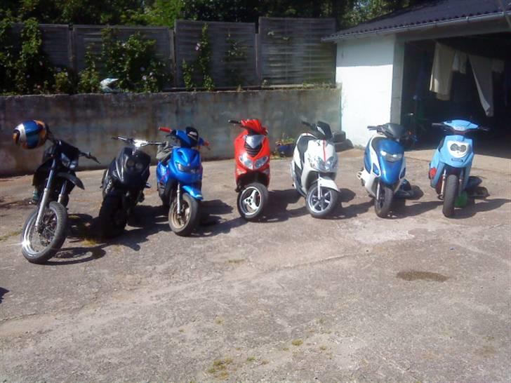 Honda sfx Byttet til sonic - scooter træf :) billede 6