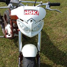 Suzuki street magic (SOLGT)