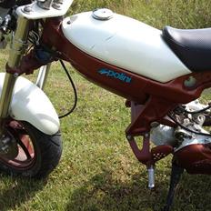 Suzuki street magic (SOLGT)