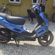 Peugeot speedfight 2 (Solgt)