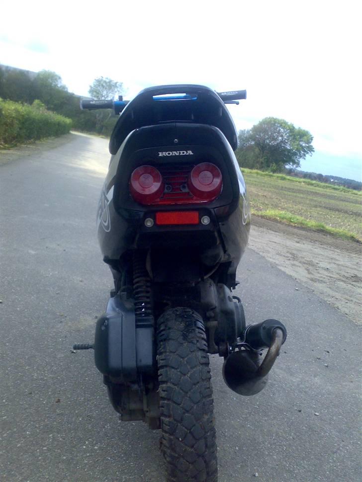 Honda Sfx - Byttet billede 5