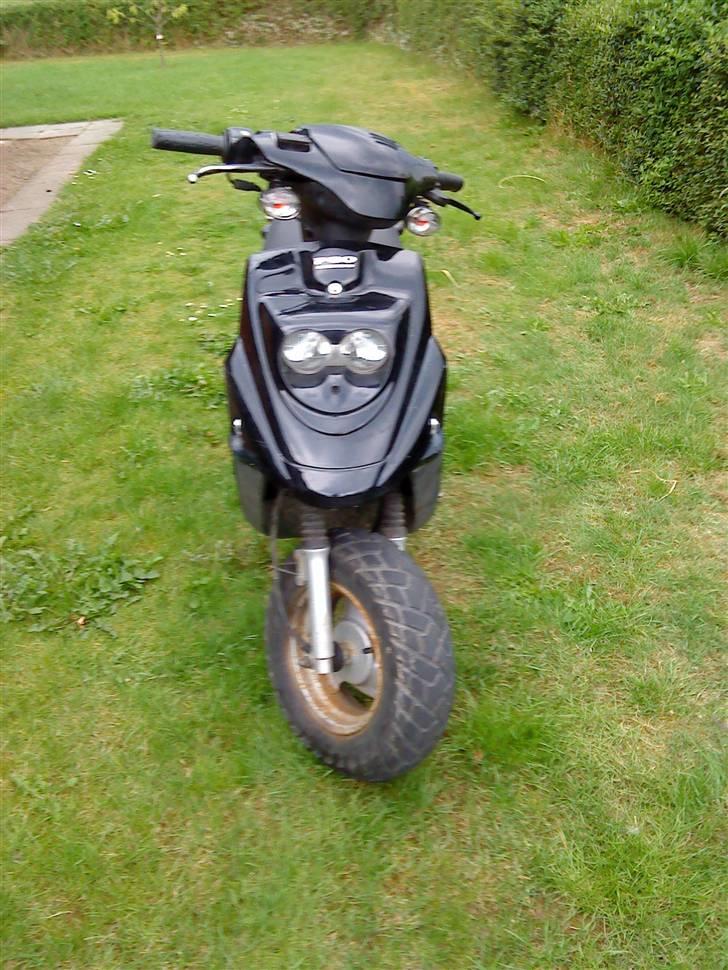 PGO hot 50 (solgt) billede 3