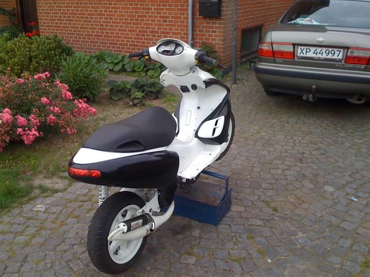 Benelli 491 70ccm AC billede 3