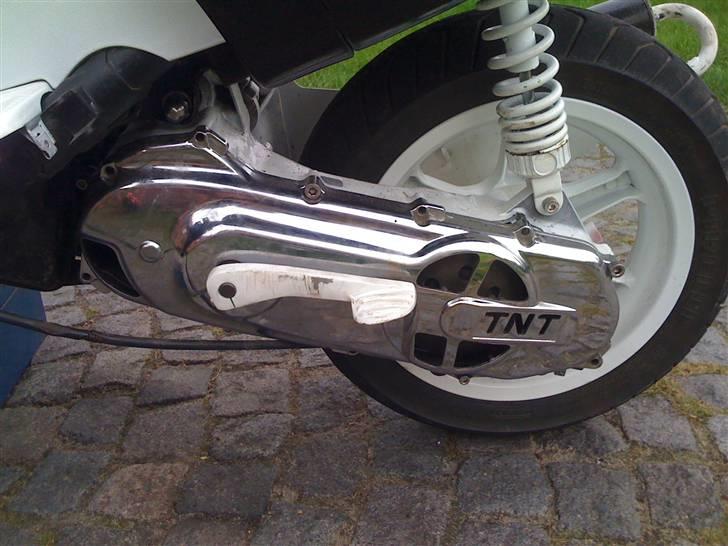 Benelli 491 70ccm AC billede 5