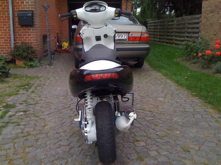 Benelli 491 70ccm AC billede 6