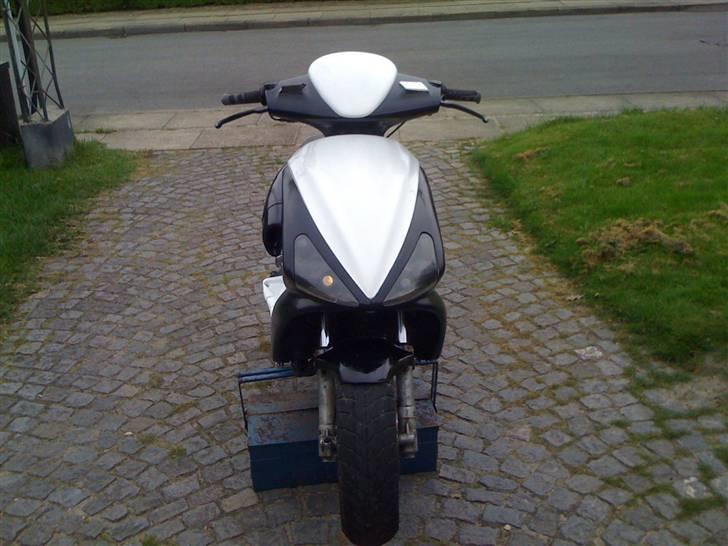 Benelli 491 70ccm AC billede 7