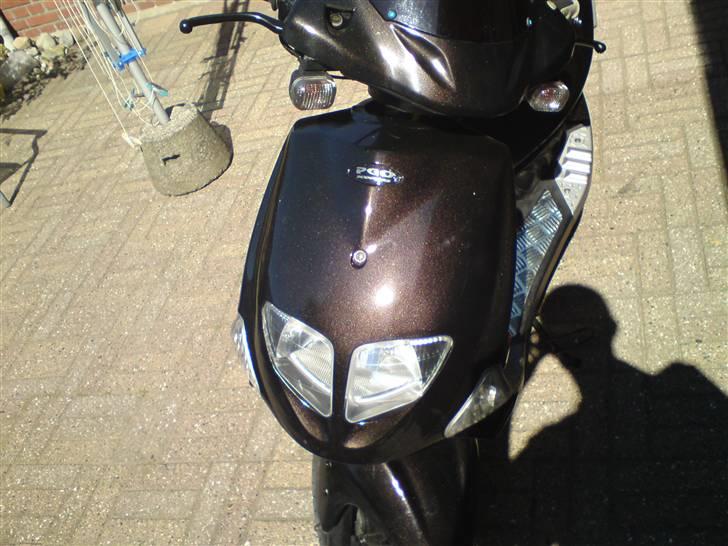 PGO dr big billede 1