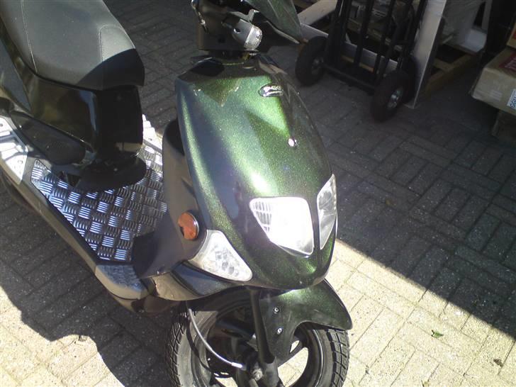 PGO dr big billede 4