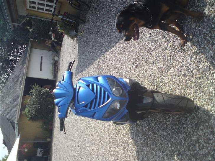 Peugeot speedfight 2 (Solgt) billede 3