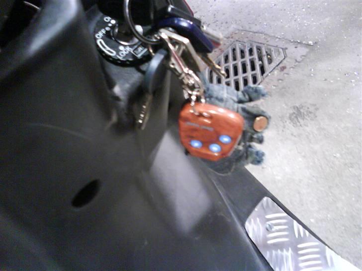 PGO hot 50 billede 7