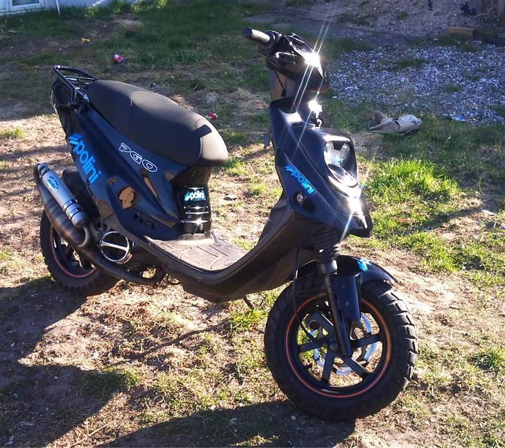 PGO POLINI HOT  - POLINI HOt billede 1