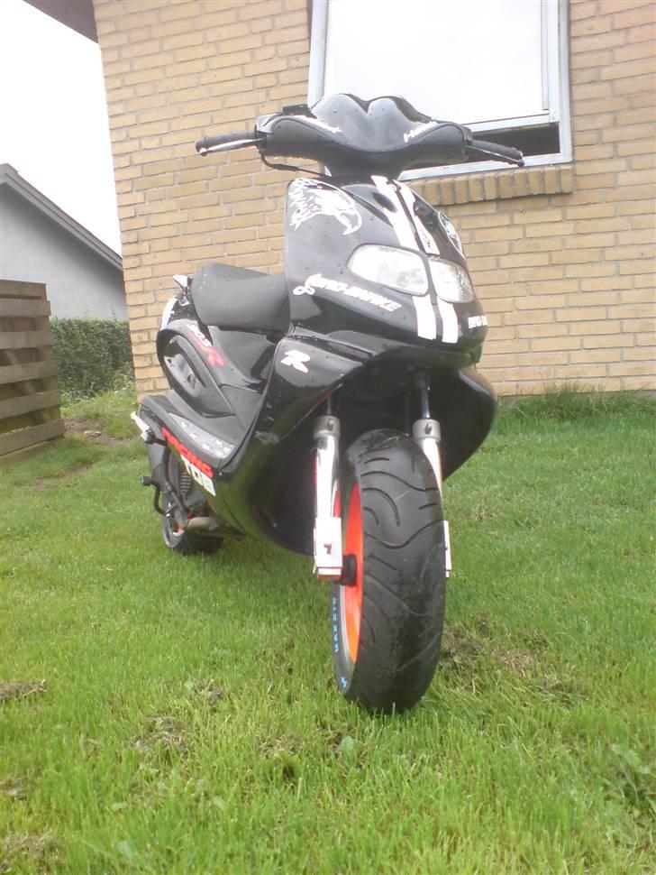 TGB Pegasus 303R taget a politi væk billede 5
