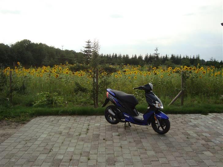 Yamaha Jog R (TILSALG) billede 7