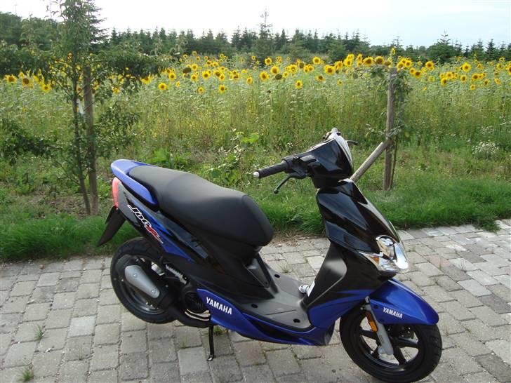 Yamaha Jog R (TILSALG) billede 8