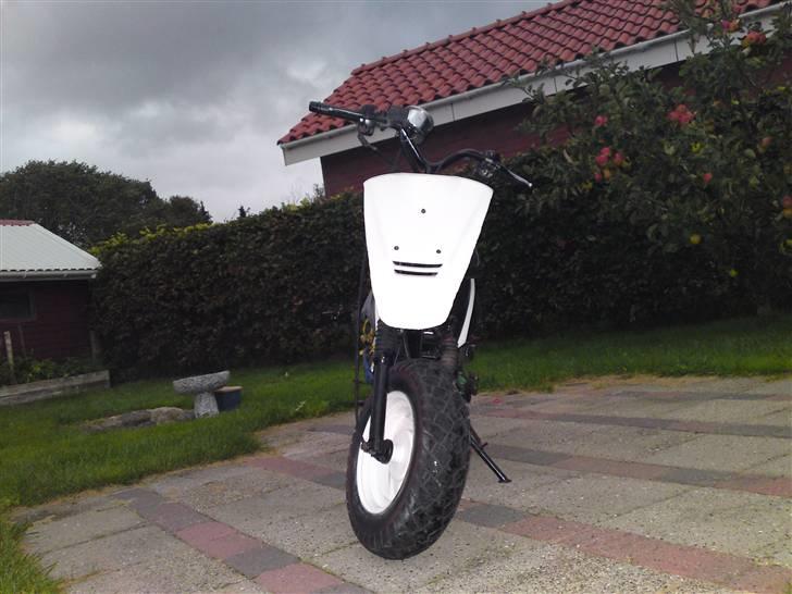 Kreidler         DØD:( - Sådan ser den ud nu. billede 1