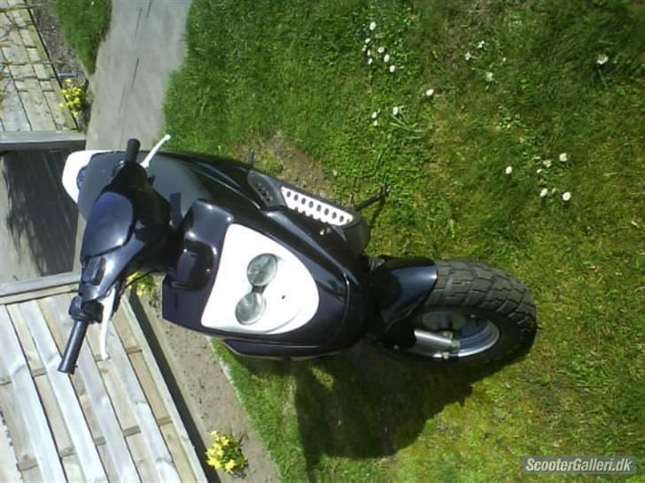 PGO Hot 50 billede 3