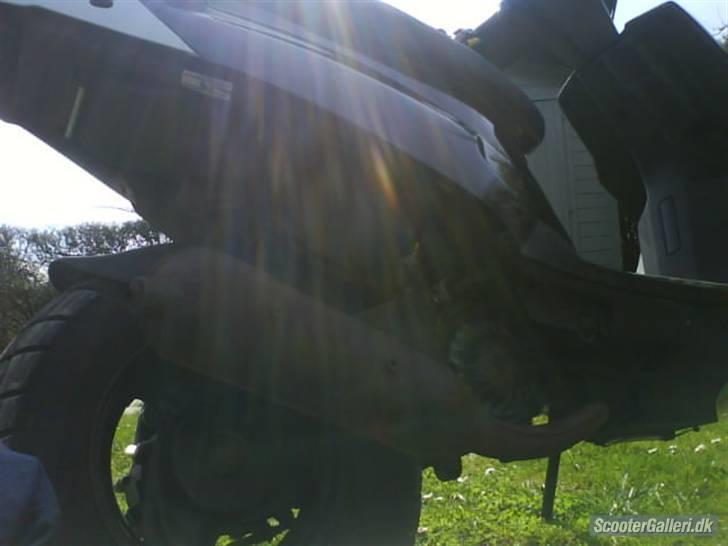 PGO Hot 50 billede 4