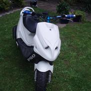 PGO Hot Tornado (BYTTET)