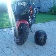 PGO hot 50  TILSALG BYD !!!