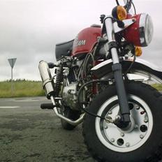 Skyteam monkey:D solgt